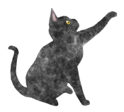 猫とシャボン玉